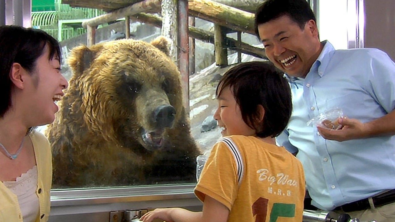 Noboribetsu Bear Park Admission Ticket – Information & Experience Details
