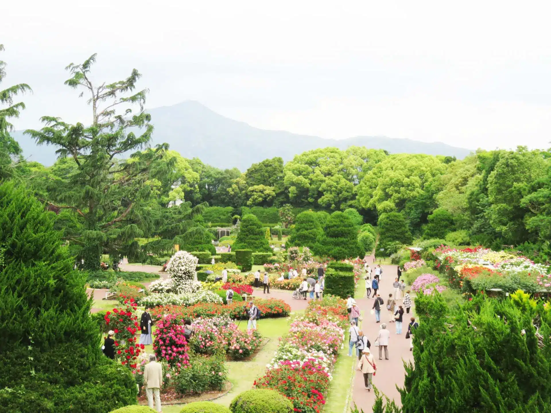 Kyoto Botanical Gardens LIGHT CYCLES KYOTO Admission Ticket – Information & Experience Details