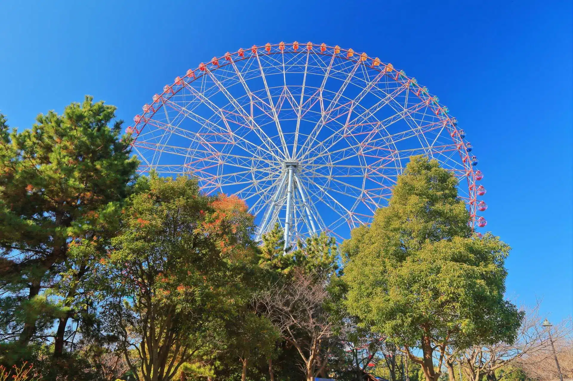 Tokyo/Kasai Rinkai Park Diamond and Flower Ferris Wheel E-Ticket – Information & Experience Details