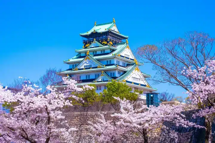 Osaka Castle Main Tower E-Ticket – Ticket Information & Experience Details