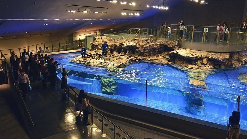 Sumida Aquarium Admission Ticket – Information & Experience Details