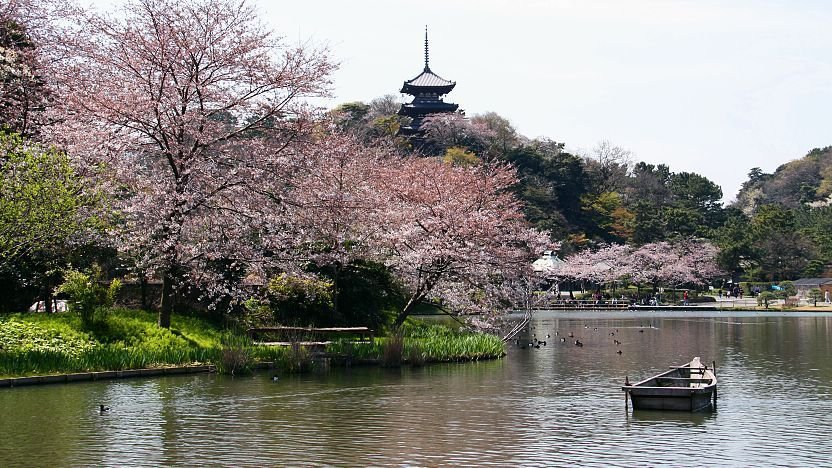 Sankeien Garden Admission Ticket – Information & Experience Details