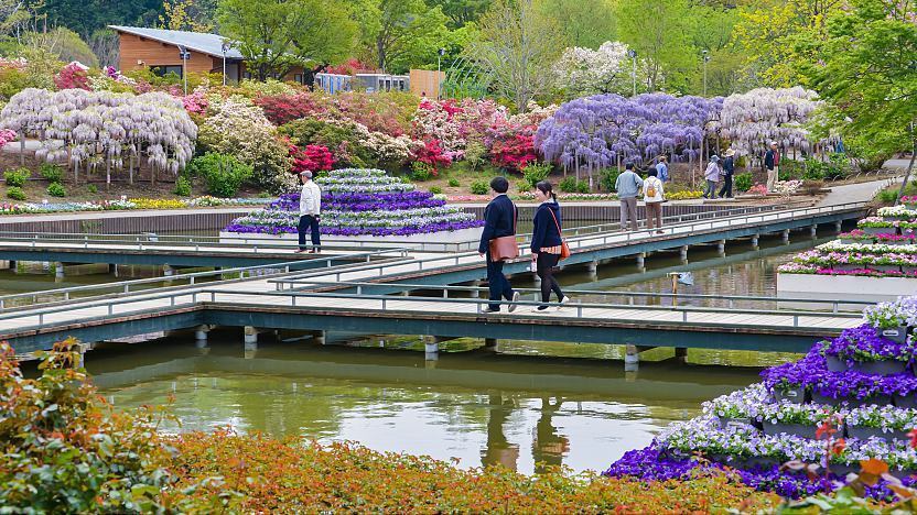 Ashikaga Flower Park – Garden of Illuminated Flowers Admission Ticket – Ticket Information & Experience Details