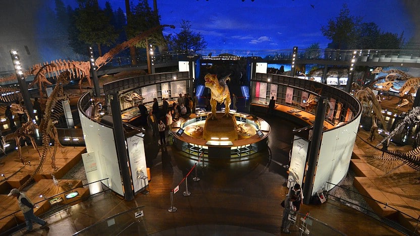 Fukui Prefectural Dinosaur Museum Admission Ticket