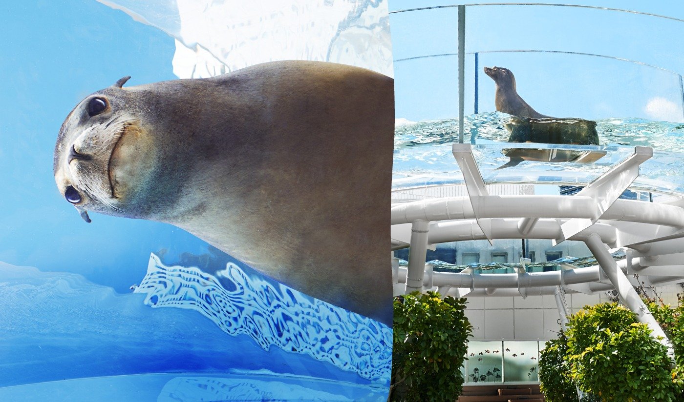 Ikebukuro Sunshine Aquarium & Sunshine 60 Observatory Park Tickets – Information & Experience Details