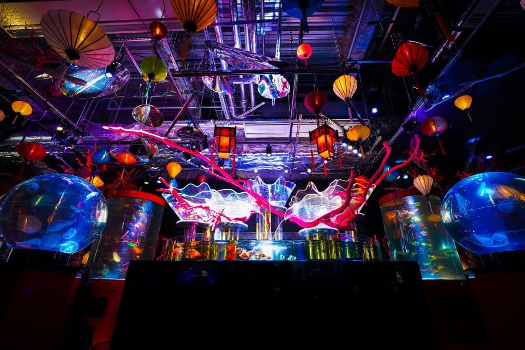 Tokyo/Odaiba UWS Aquarium GA☆KYO Admission Ticket – Information & Experience Details