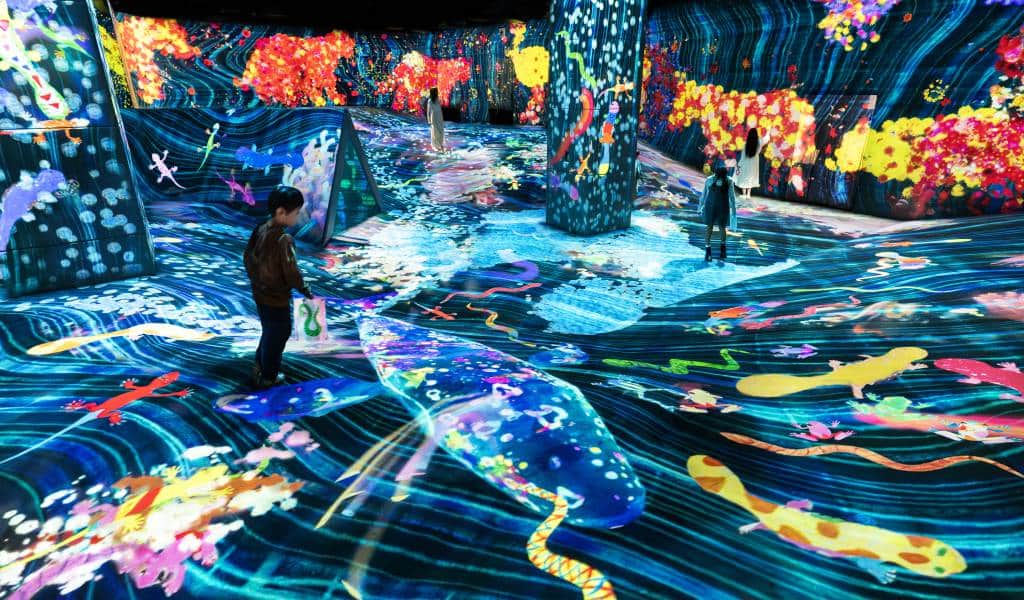 Fukuoka/TeamLab Forest Fukuoka Ticket–SBI – Information & Experience Details