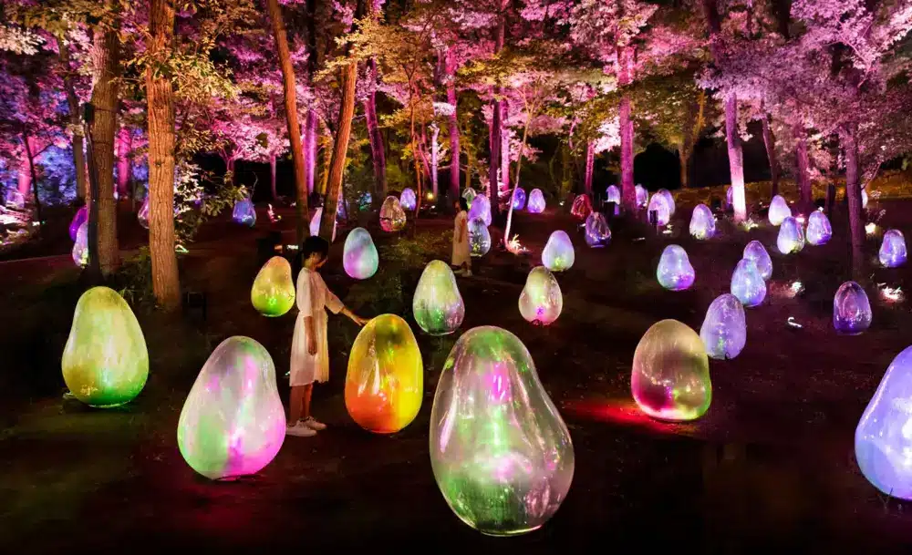 teamLab Botanical Garden Osaka Ticket – Ticket Information & Experience Details
