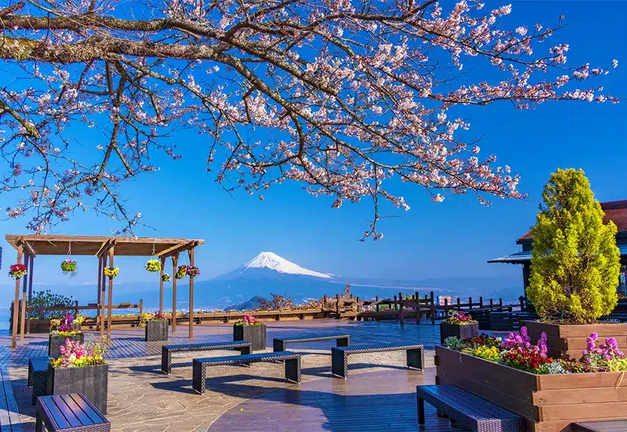 Shizuoka/Izu Panorama Park Ao Terrace Superb View Private Booth Package – Information & Experience Details