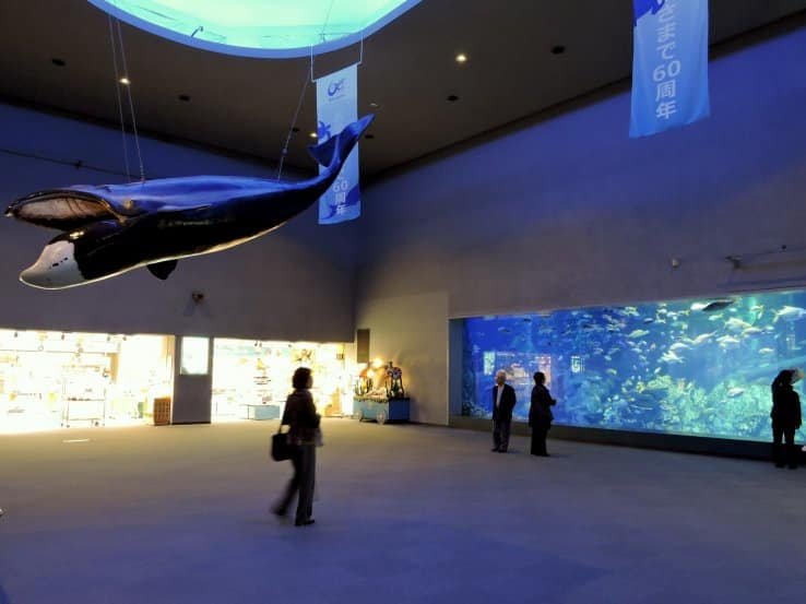 Toba Aquarium 2025 – Ticket Information & Experience Details