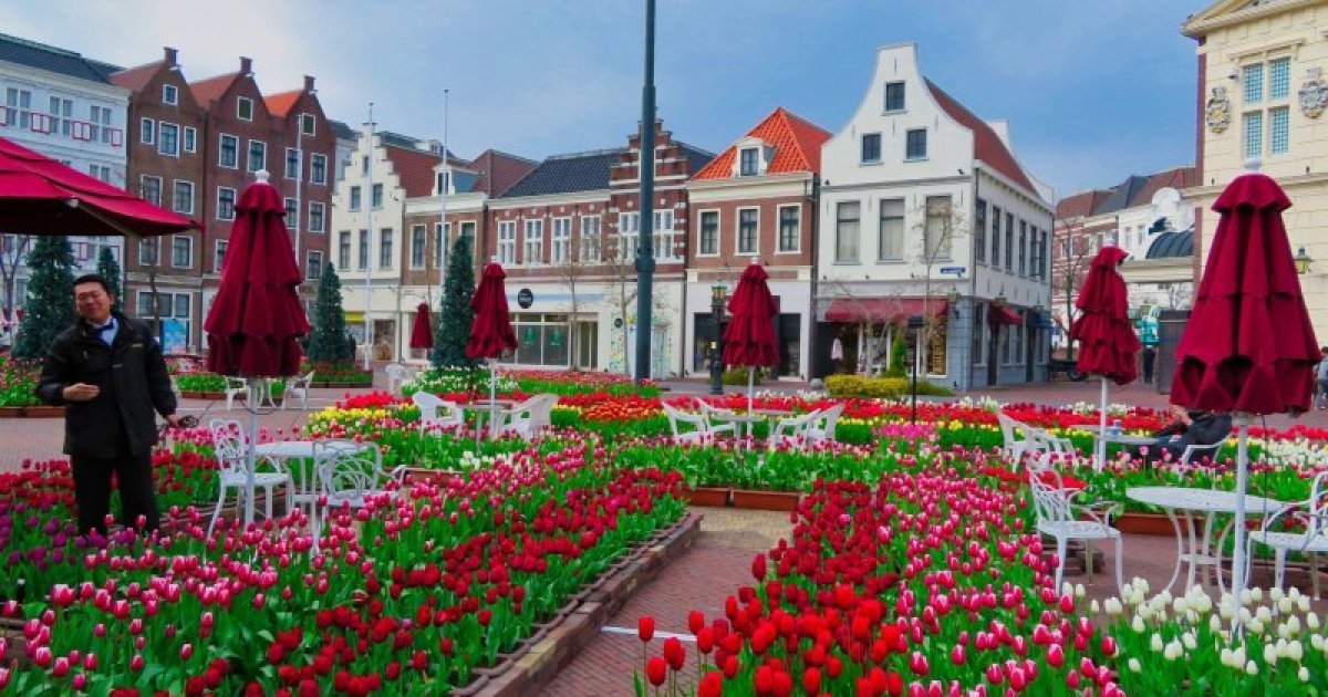 Nagasaki/Huis Ten Bosch Admission Ticket – Information & Experience Details