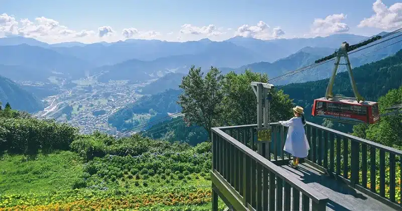 Yuzawa Kogen Panorama Park | Ropeway Round-Trip Ticket – Information & Experience Details