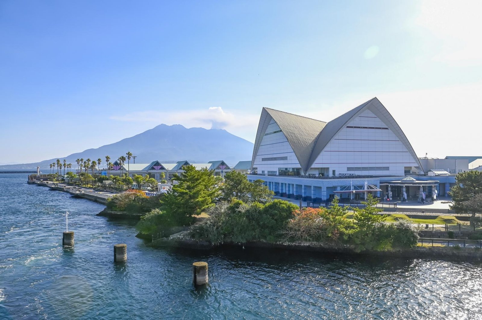 Io World Kagoshima City Aquarium Entrance Ticket