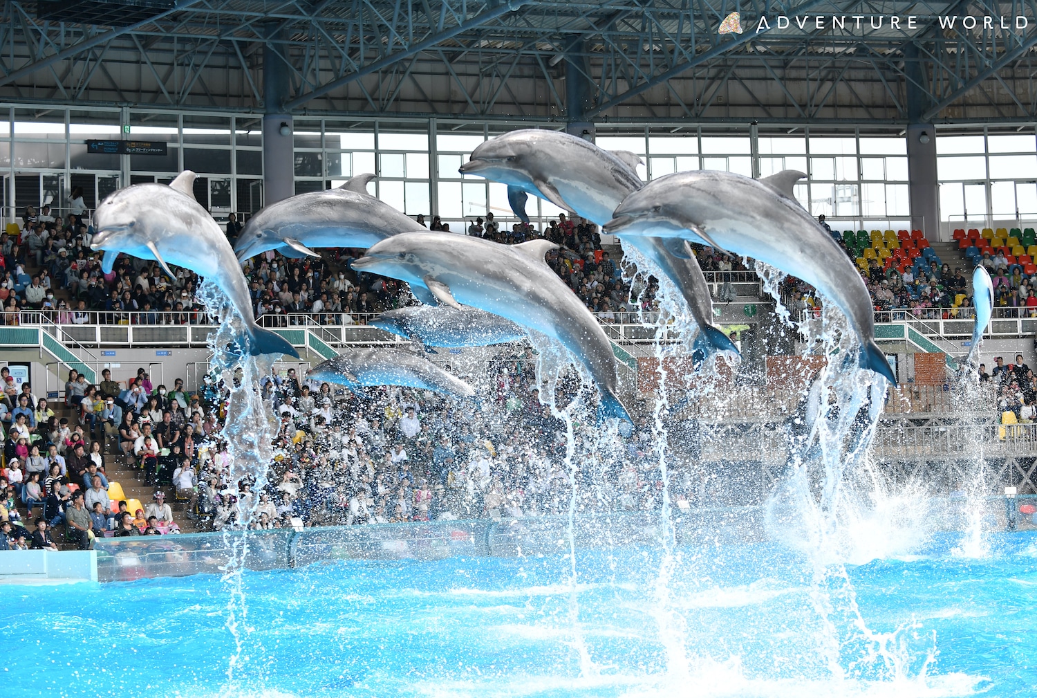 Wakayama Adventure World Ticket – Information & Experience Details
