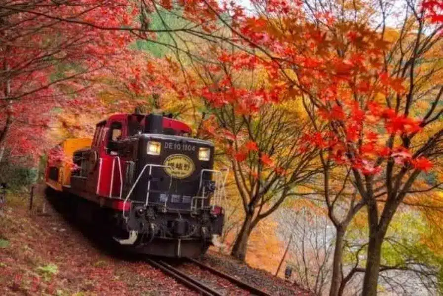 Sagano Romantic Train One-Way Ticket – Information & Experience Details