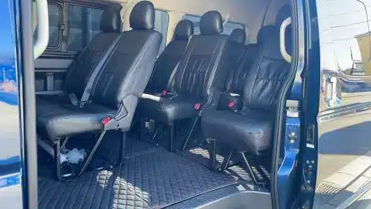 Tokyo Disney Resort One-Way/Round-Trip Transfer Charter – Information & Experience Details