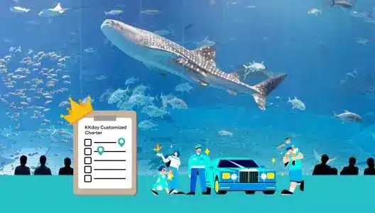 Okinawa Exclusive Private Charter Car – Information & Experience Details