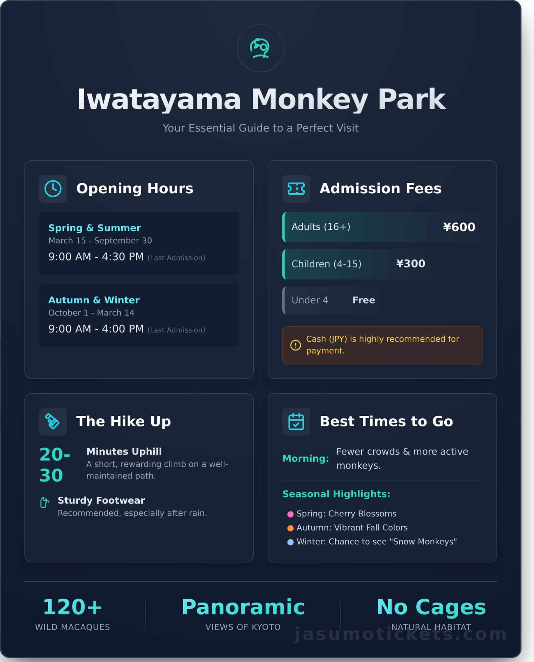 Iwatayama Monkey Park: The Complete Visitor’s Guide - Infographic