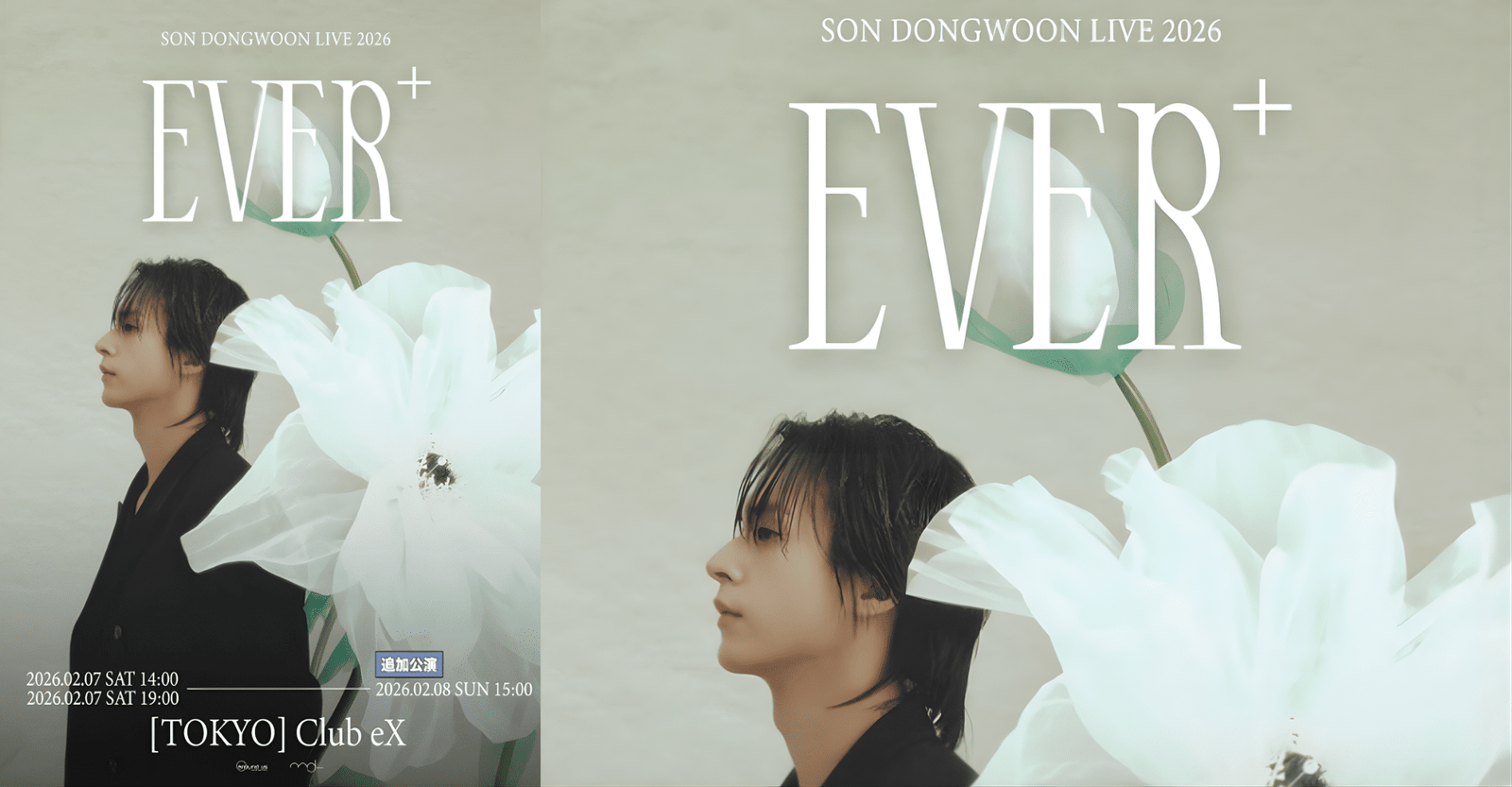 SON DONGWOON LIVE 2026 [Ever+] in Japan Reseller Ticket