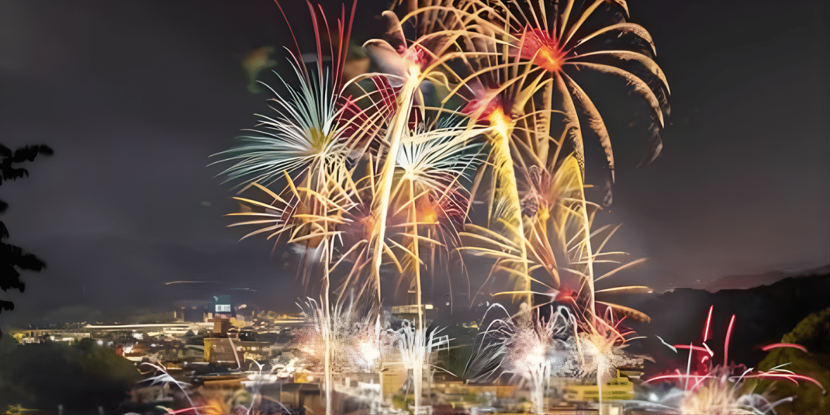 Aioi Peiron Festival 2026 in Japan Ticket