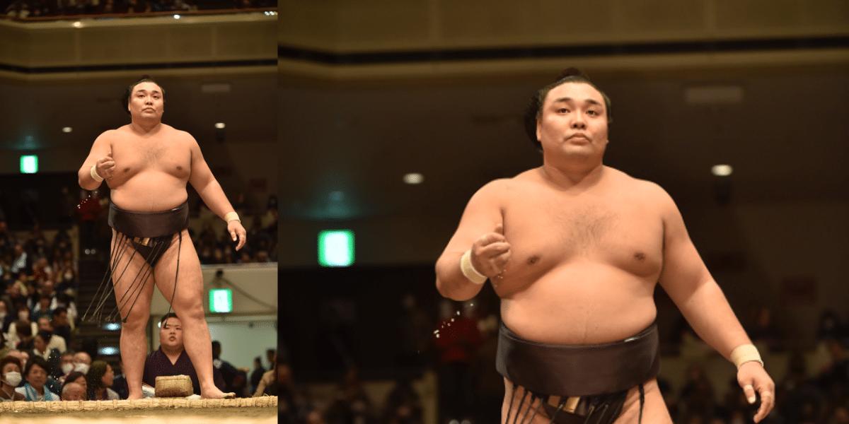 Wielki Turniej Sumo w maju 2026 r. w Japonii – bilet dla odsprzedawców