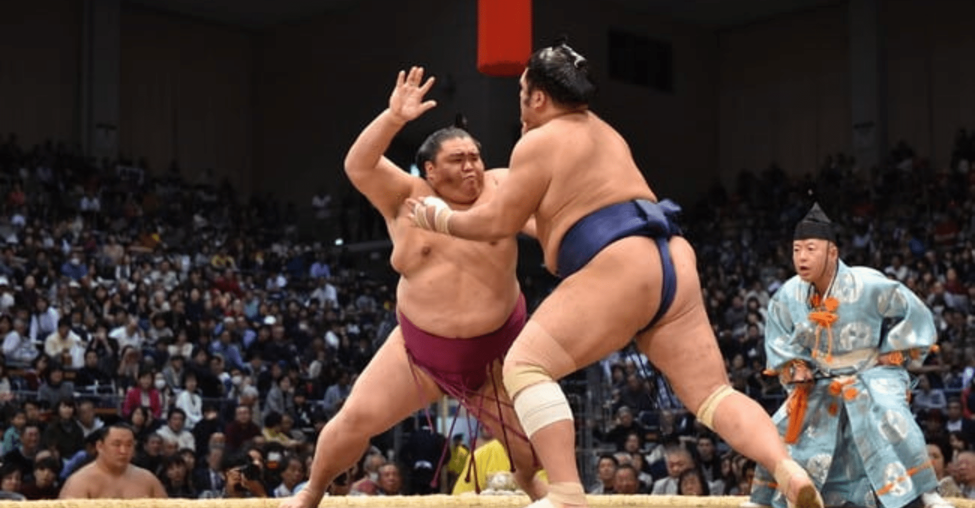 Grand Sumo Tournament Summer & Autumn Tour Ticket